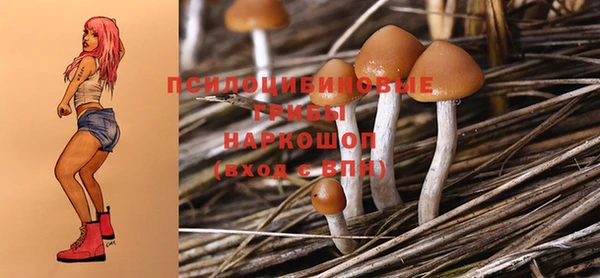 mix Абаза